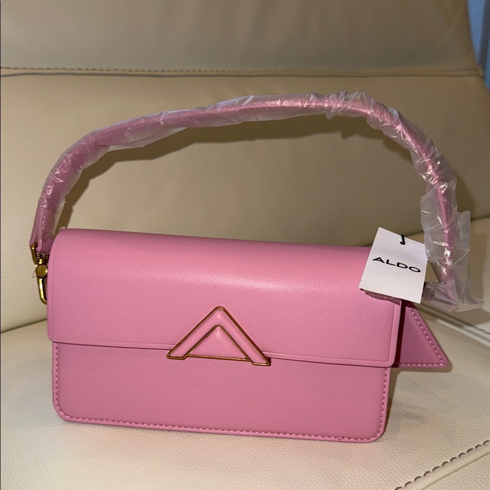 Aldo Luxxecarryx Bag